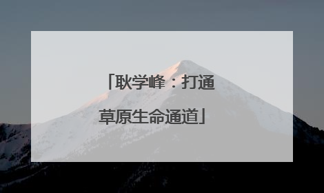 耿学峰：打通草原生命通道